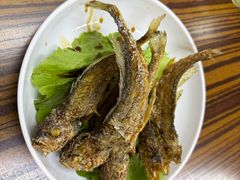 -谢记上海大排档(长寿路店)