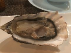 -斯普汇生蚝牛排馆(中骏世界城店)