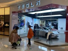 -TESLA 特斯拉(郑州正弘城体验店)