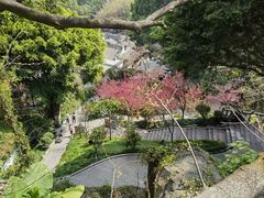 -乌山风景区