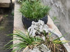 -月栖华明-云间草堂清茶馆(泗泾古镇店)