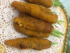 -丁老爷子苏香圆