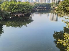 -荔枝公园(福田区)