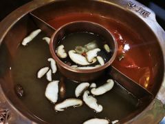 -滇釜火锅·能喝汤的火锅(车公庄店)