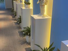 -爱氧森林·日本兴百世SHENPIX微高压氧舱