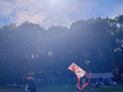 -三圣花乡旅游区