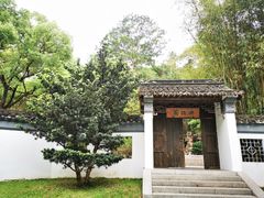 -深圳国际园林花卉博览园