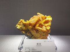 -湖南省地质博物馆