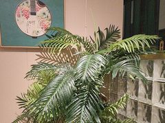 -悦海·家宴·冰花皮皮虾大锅贴(宝龙店)