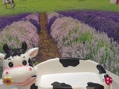 -正飞鲜奶(吐鲁番路店)