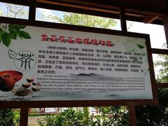 -中华茉莉园