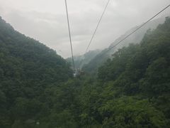 -栾川竹海野生动物园