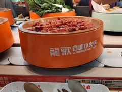 -龍歌自助小火锅(市北台东利群店)