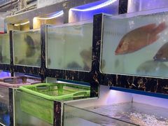-众味海鲜大排档·活海鲜·潮汕味(南澳店)