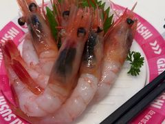-元气寿司(益田假日广场店)