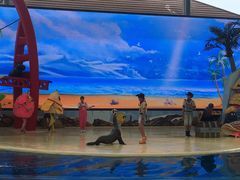 -三亚海昌梦幻海洋不夜城