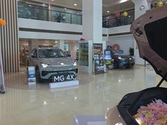 -上汽荣威体验中心(徐汇东安路店)