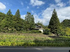 -山王坪喀斯特国家生态公园