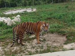 -西安秦岭野生动物园