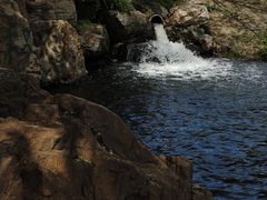 -长春公园(普阳街道)