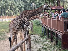 -北京野生动物园