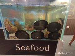 -渔洲情海鲜酒家