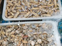 -和源祥·日照菜扛把子(万平口一店)