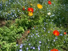 -世纪公园-世纪春沁园