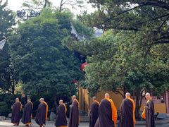 -龙华素斋(龙华路店)