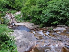 -青峰峡国家森林公园