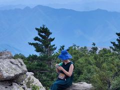 -牛背梁国家森林公园