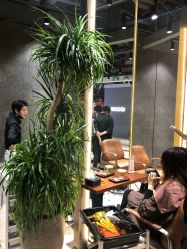 -BENSON沙龙