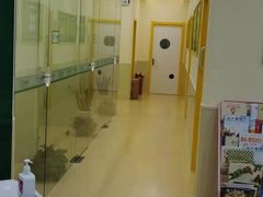 -小问号·科学启蒙·逻辑思维·阅读素养·口才演讲(杨浦合生汇中心)