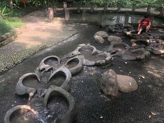 -成都市活水公园