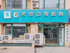 -瑞派·关忠动物医院·猫专科·犬专科(三环新城店)