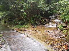 -永州阳明山国家森林公园