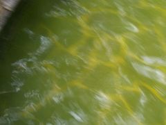-龙达温泉生态城