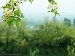 -樱桃山旅游景区