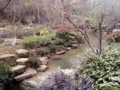 -杭州半山国家森林公园