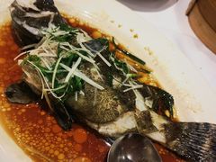 清蒸龙趸仔-稻香酒家(天河城店)
