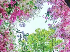 -深圳国际园林花卉博览园