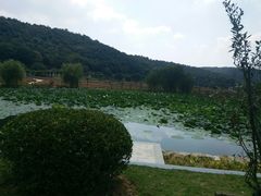 -龙寺生态园