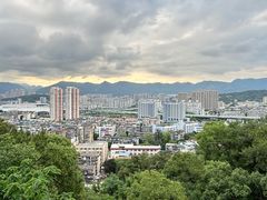 -金鸡山公园