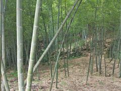 -方岩风景区