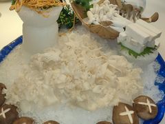 -宝燕壹号(徐汇店)