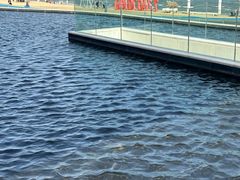 -汕头中海黄金海岸水上乐园