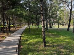 -森林公园(尖草坪区)