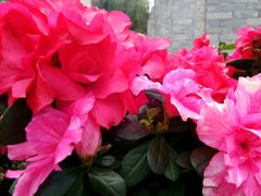 -黔蘑菇四季餐厅(观山湖店)