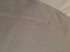 iphone_upload_pic-青岛鑫江温德姆酒店