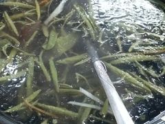 -协和菜馆(凤凰街店)